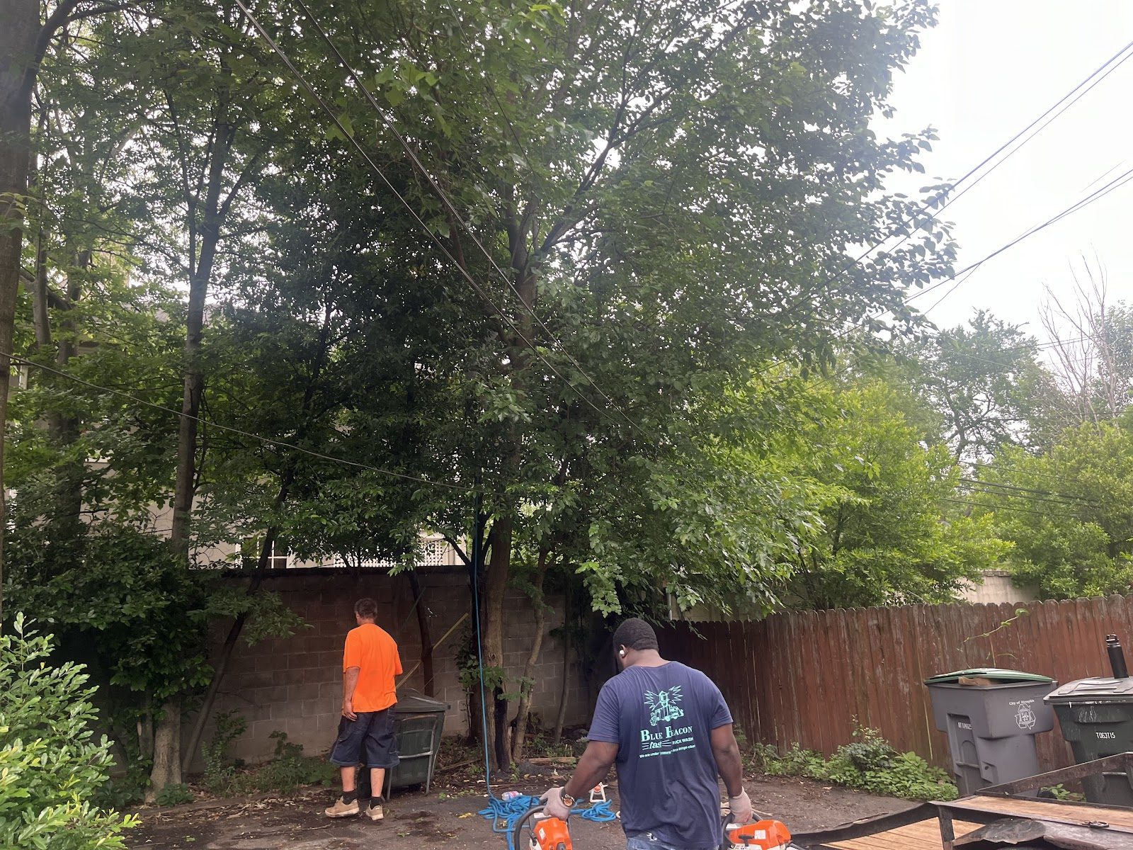 CS & S crew working in a backyard with tree removal equipment